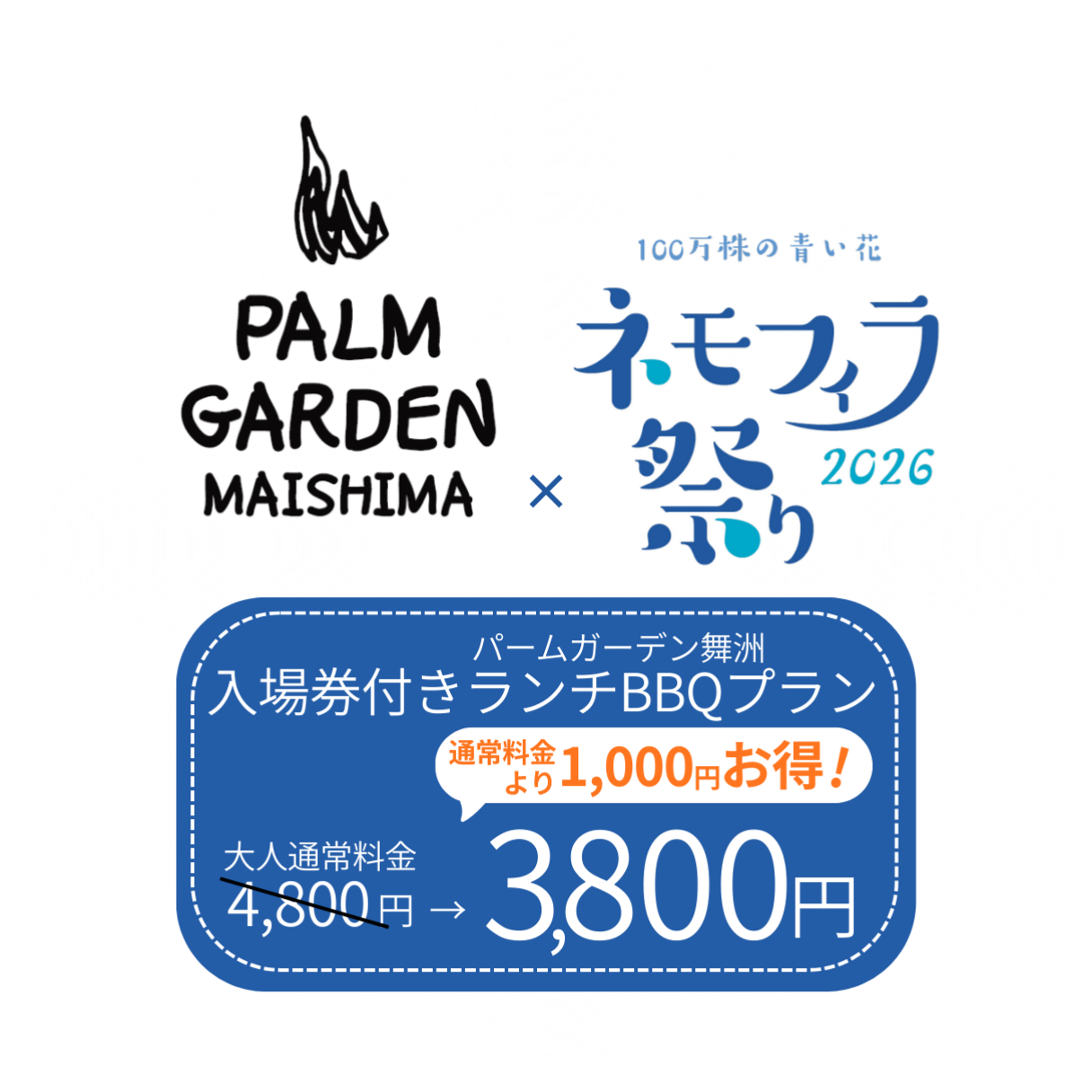 ネモフィラ祭り2026とパームガーデン舞洲を楽しむランチBBQプラン